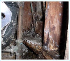 Moisture Intrusion