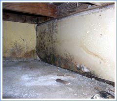 Moisture Intrusion